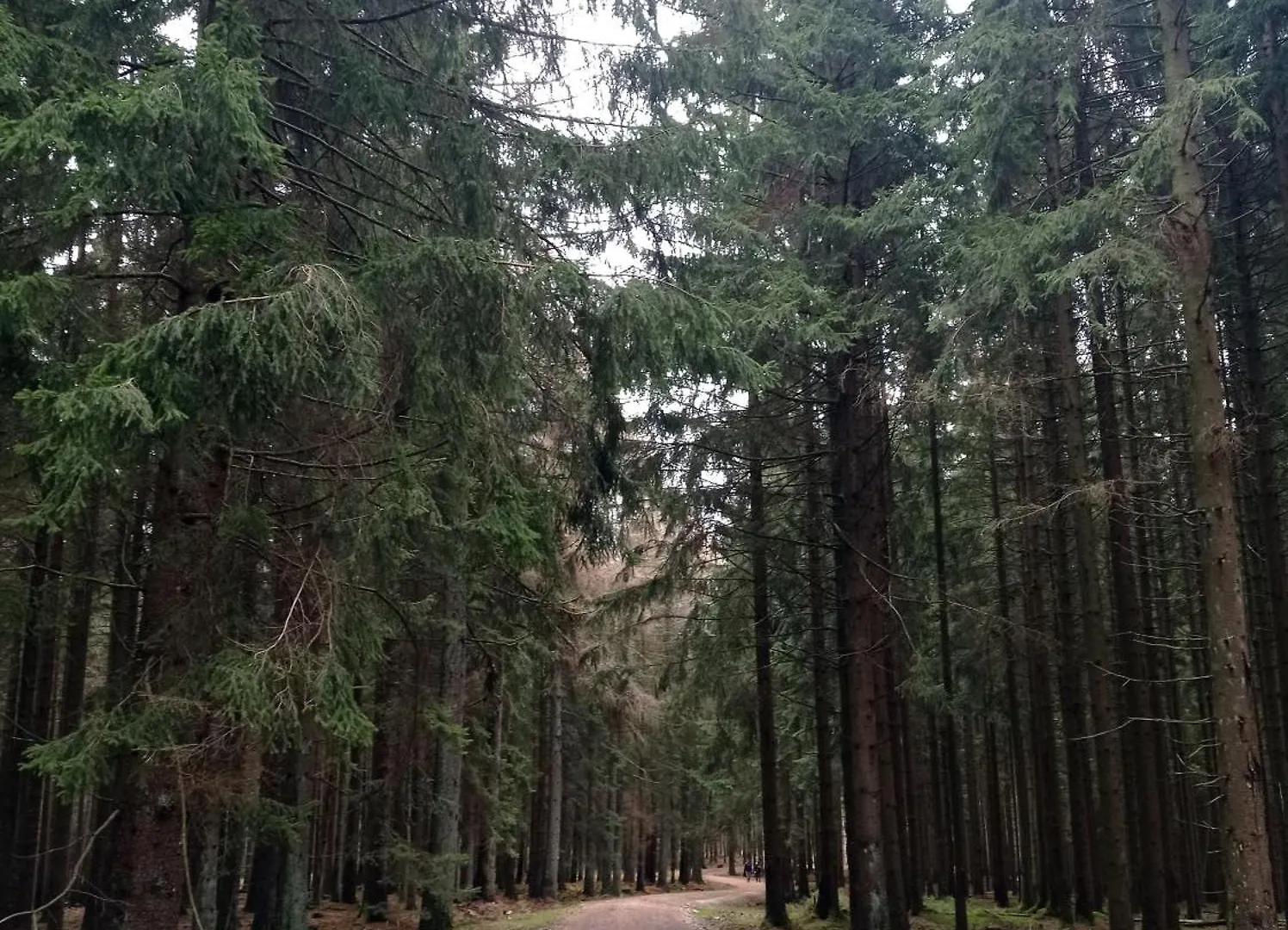 Homestay Super Location In Frankfurt Am Main Apartment